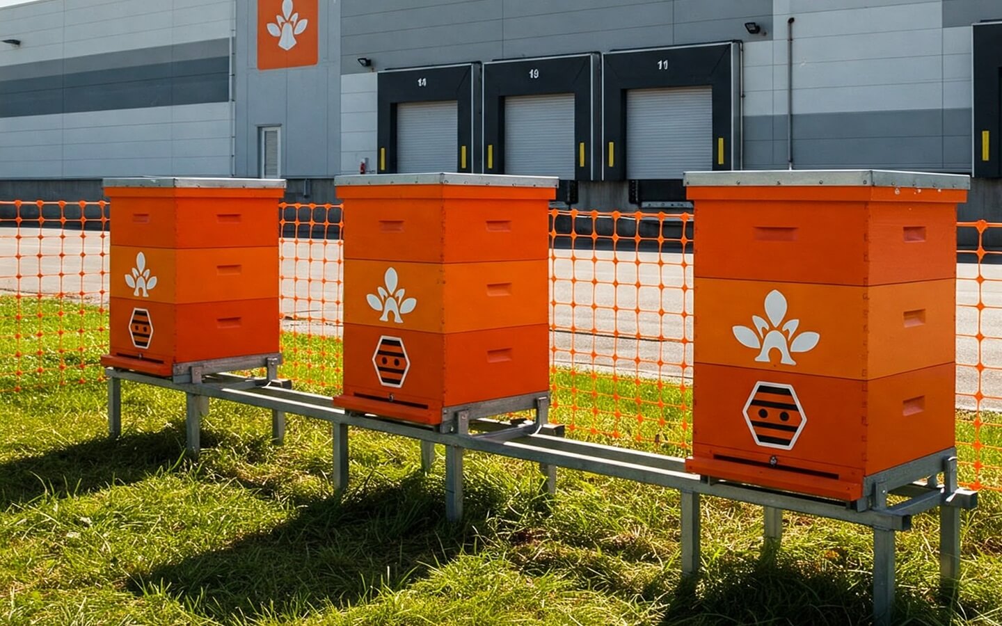 pasieka firmowa ule stojace przed magazynem